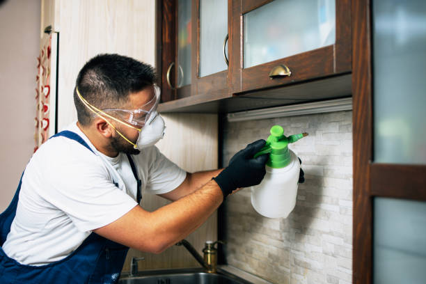 Reliable Seaside Heights, NJ Pest Control Solutions