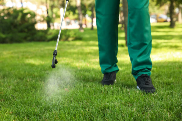 Best Exterminator Services  in Seaside Heights, NJ