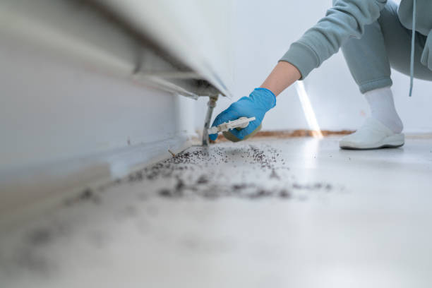 Best Pest Removal Services  in Seaside Heights, NJ