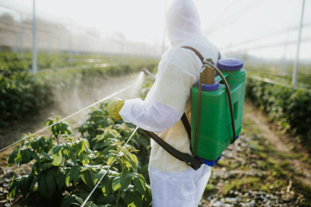 Best Emergency Pest Control  in Seaside Heights, NJ